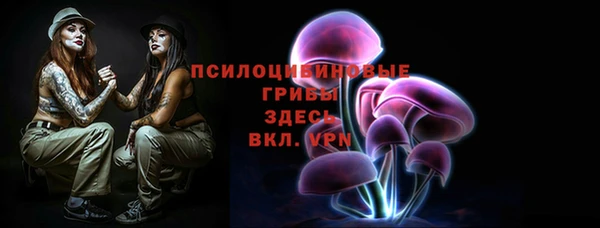 сатива Баксан
