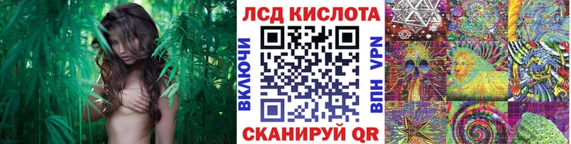площадка состав Удомля Марки NBOMe 1,8мг ОМГ ОМГ ТОР